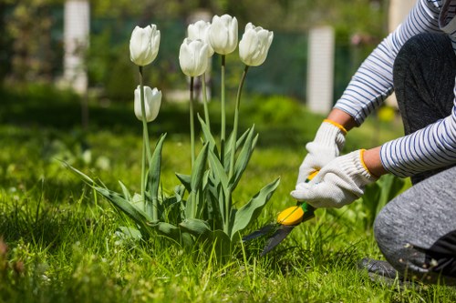 Garden drainage assessment in a Yeading residential property