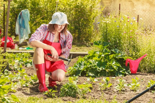 Assessing a garden service issue during a landscaping review