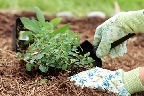 Low-maintenance soft landscaping for a residential property in Yeading