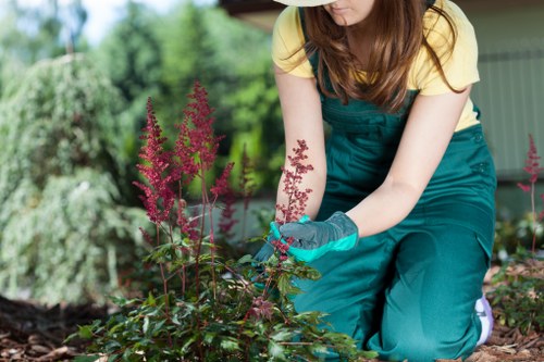Safe landscaping project completed in Yeading with protective equipment